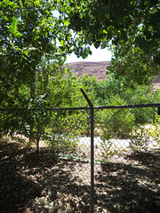 Clôture McDonaldienne / A McDonald fence