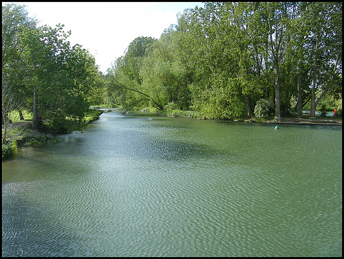 dappled green river