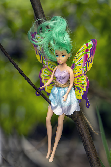 Wee Fairy
