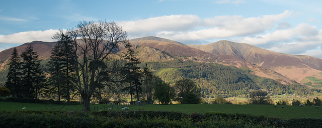 Skiddaw views from the cottage