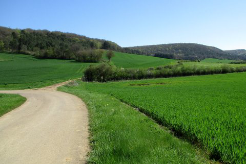 Douces collines (Morvan, département de la Nièvre, France)