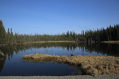 Reflective pond (Explored)