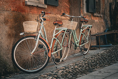 Bicycle-Twins