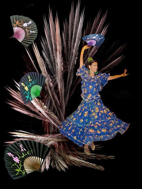 La danseuse de flamenco
