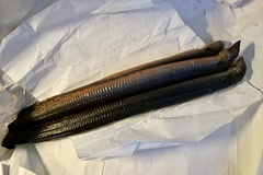 Leidens Ontzet 2019 – Smoked eel