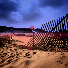 broken fence at dusk