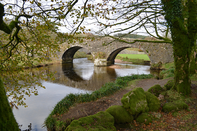Dartmoor, West Dart River and Old Stone Bridge