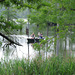Canoeing on Bluff Lake