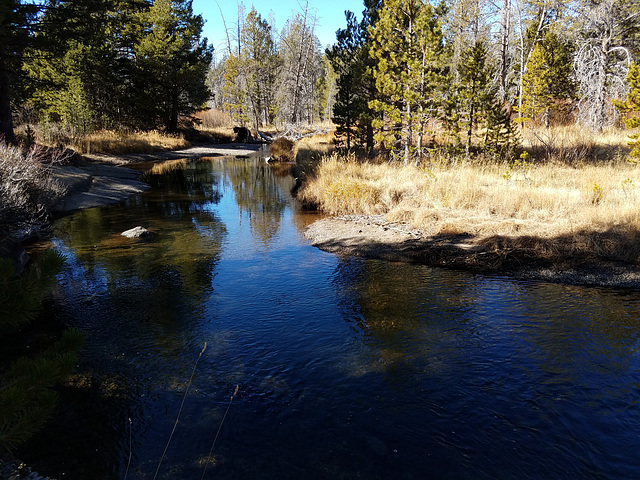 Caples Creek