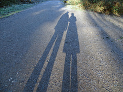 Attingham selfie shadow