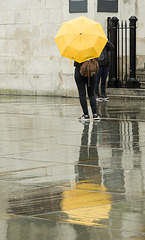 Jan 27 yellow umbrella