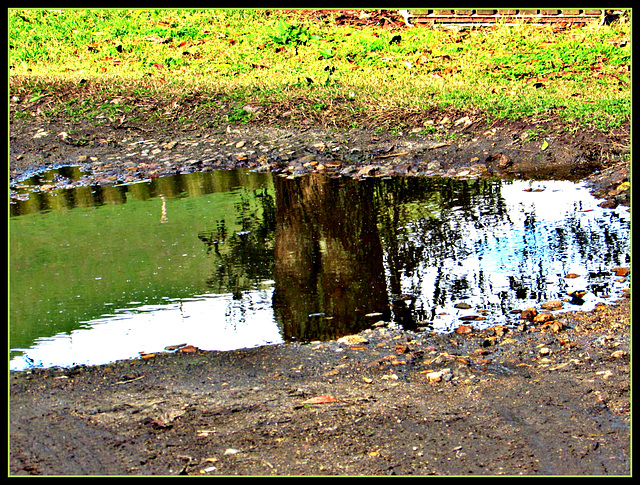 Puddle Picture.