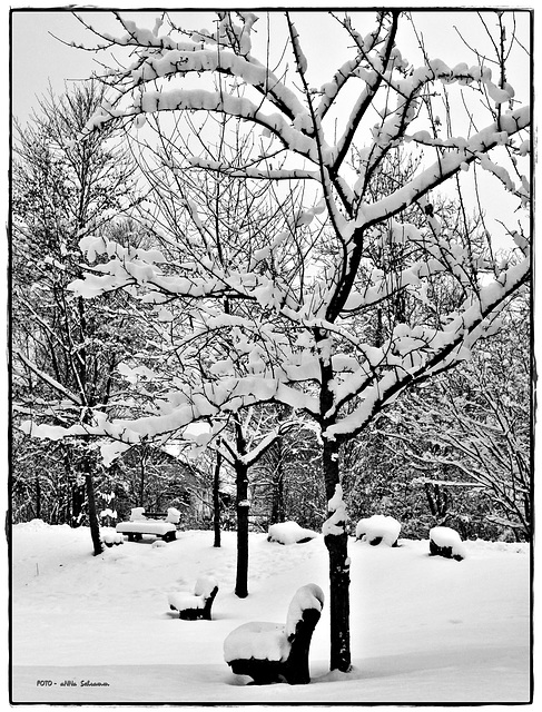 Drei Bänke im Schnee