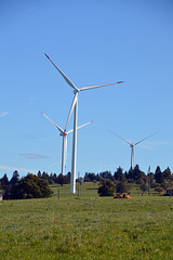 Windenergie vom Mont Crosin