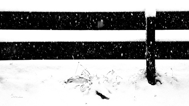 Zaun mit Schnee