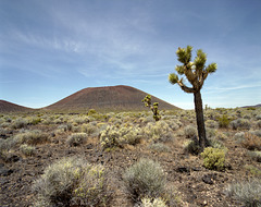 Mojave Cinder Cone