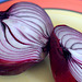onion art