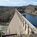Elephant Butte Dam, NM (# 0830)