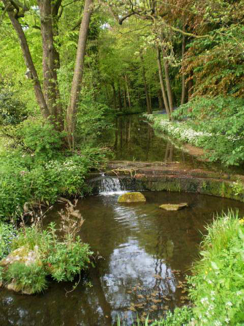 Weir in the stream.
