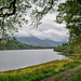 A Loweswater view