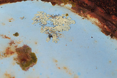 Penedos, Rust and lichen