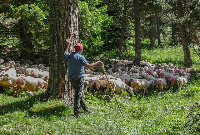 Dans le Vall de Galbe. Dans le Vall de Galbe.