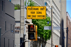 Canada 2016 – Toronto – Pedestrians obey your signal