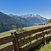 Weidezaun - Pasture Fence
