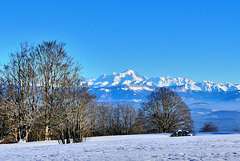 P1420730- Le Mont-Blanc et les Alpes - Raquettes aux Plans d'Hotonnes.  14 janvier 2022
