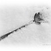 Spoon in the snow