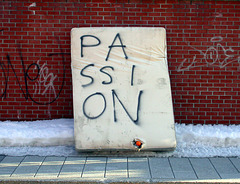 passion discarded