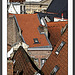 Les toits de Bruxelles XII