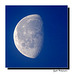 Demi Blue Moon ...