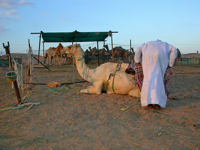 ABU DHABI - Noël 2006