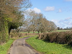 Countryside Corner