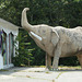 Elephant  by TJ Neil