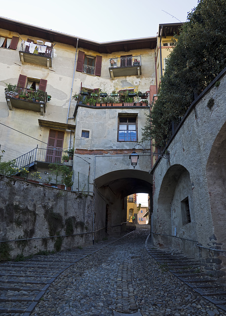 The rise of the "Costa dei Noci" at the Medieval Village of Piazzo, Biella