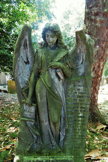 city of london cemetery (36)