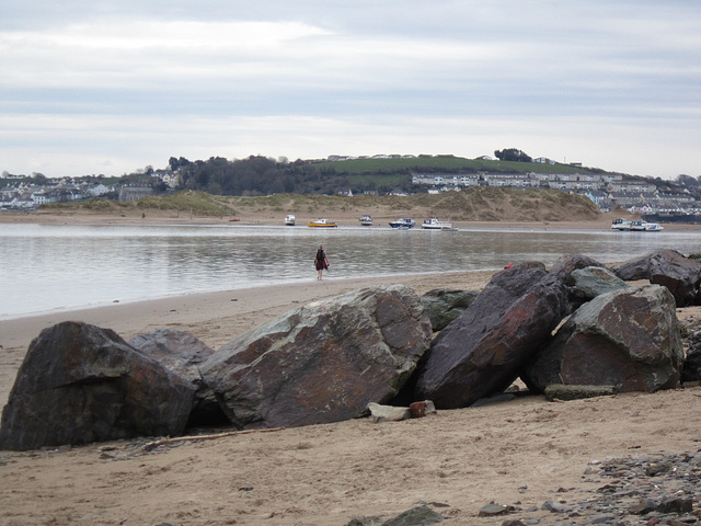 Appledore in the background