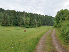 Blankenheim Uedelhoven