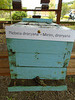 DSC01053 - abelha mirim Plebeia droryana, Meliponini Apidae Hymenoptera