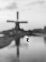 Spin - Spider