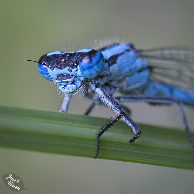 Saturday Self-Challenge: Things That Fly or Float