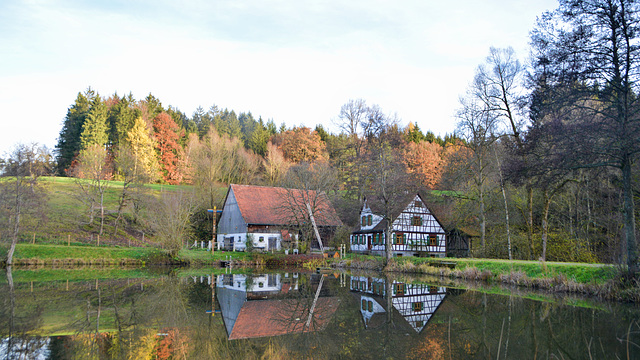 Cottages in the middle of the forest.