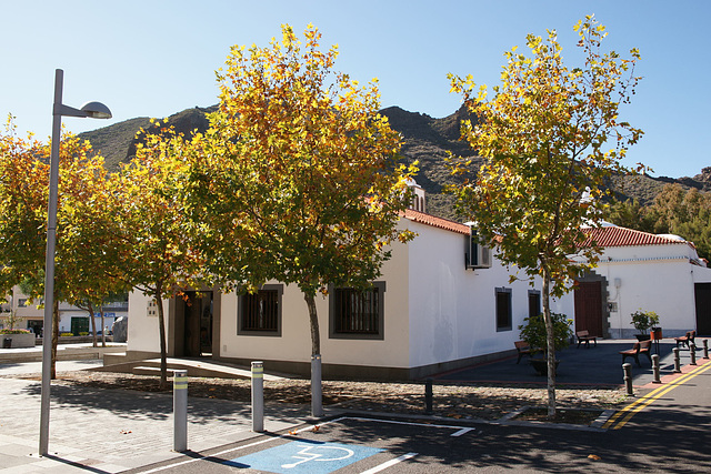 Autumn Colours In Santiago Del Teide