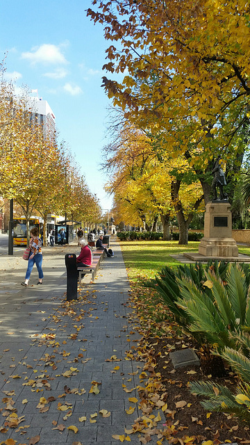 Adelaide North Terrace early on a winter afternoon