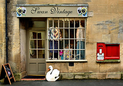 Swan Vintage ~ Bruton