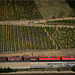 Zug und Wein aus dem Rhein