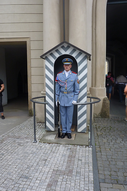 Guardia del Castillo en Praga