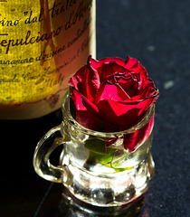 Rose 25/50 : In vino veritas
